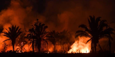 Incêndio florestal às margens da BR-163 em Itaituba, no Pará, em setembro de 2019.