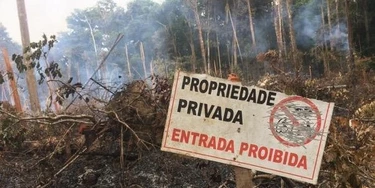 Área de reserva legal desmatada ilegalmente em terras adjacentes ao PDS Virola-Jatobá