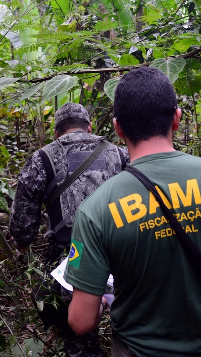 Fiscalização de desmatamento na Floresta Nacional do Jamanxim em Novo Progresso, Pará.