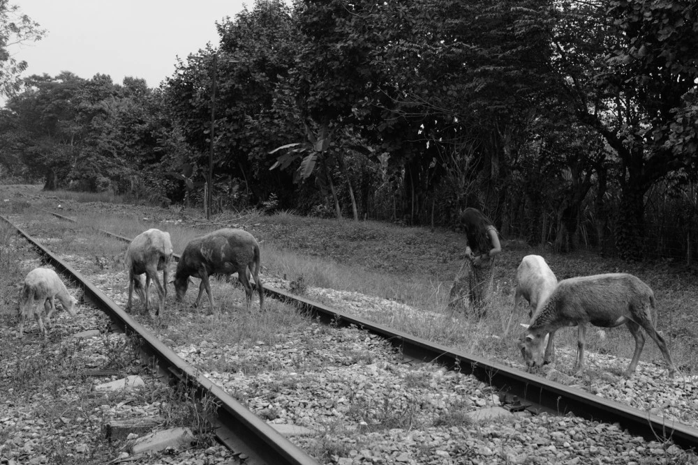 A girl stands by a track for "La Bestia," a freight train many migrants used to ride north. The U.S.-funded Plan Frontera Sur has increased enforcement on the train, so migrants have turned instead to walking and taking buses. This is a particularly dangerous area for them, with many robberies and attacks.