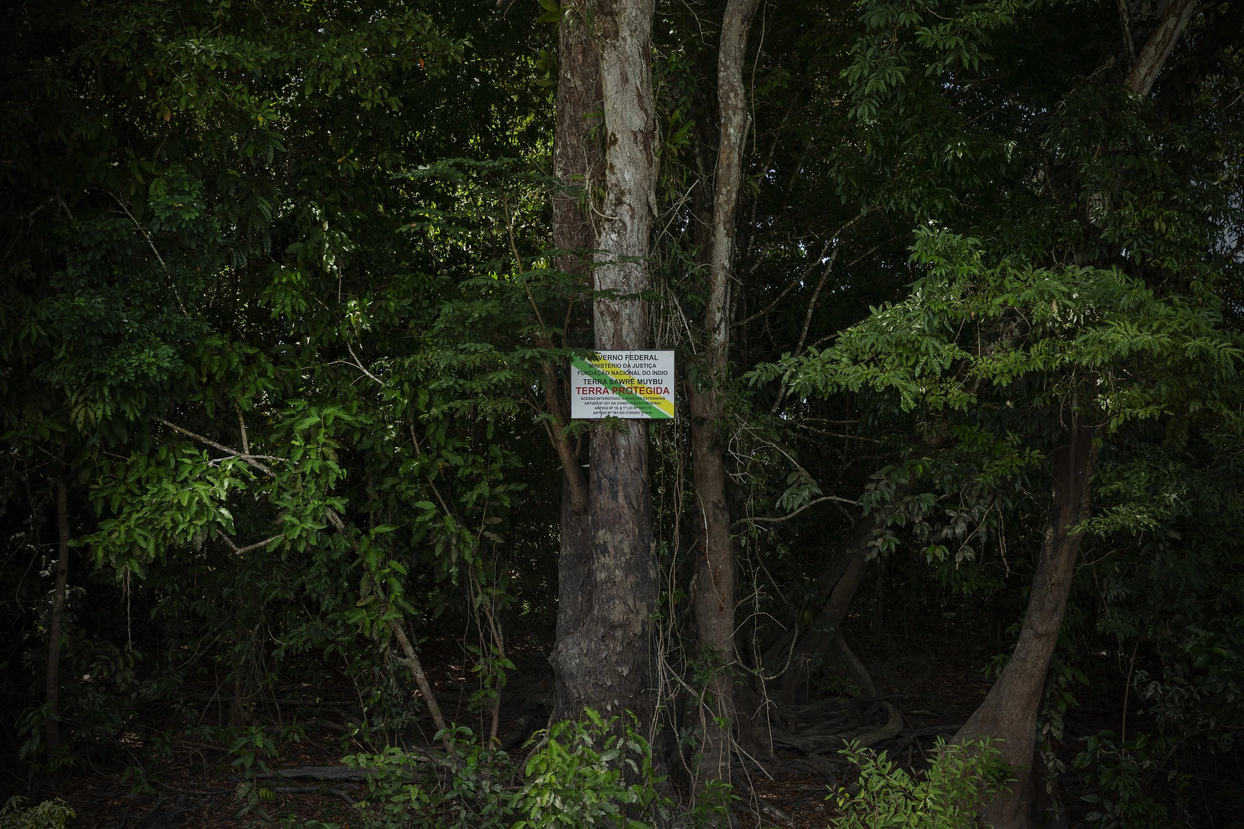 ITAITUBA, PA, 19.08.2018 - Aviso de demarcação colocado pelos índios munduruku às margens do rio Tapajós, no Pará. (Foto: Lalo de Almeida/Folhapress)