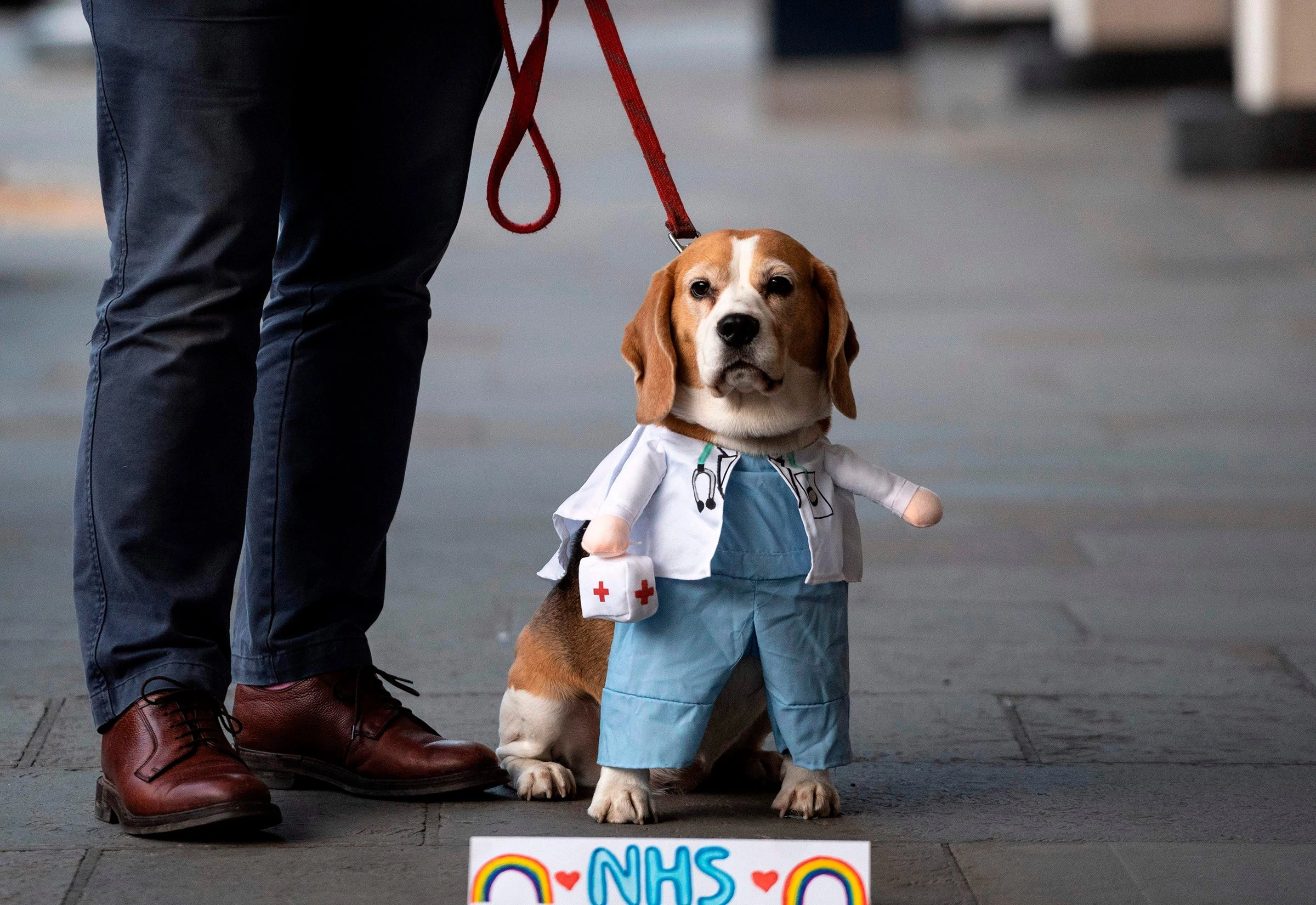 Um cachorro vestido de médico passeia do lado de fora de um hospital em Londres durante o #clapforourcares (aplausos para nossos cuidadores, em tradução livre).