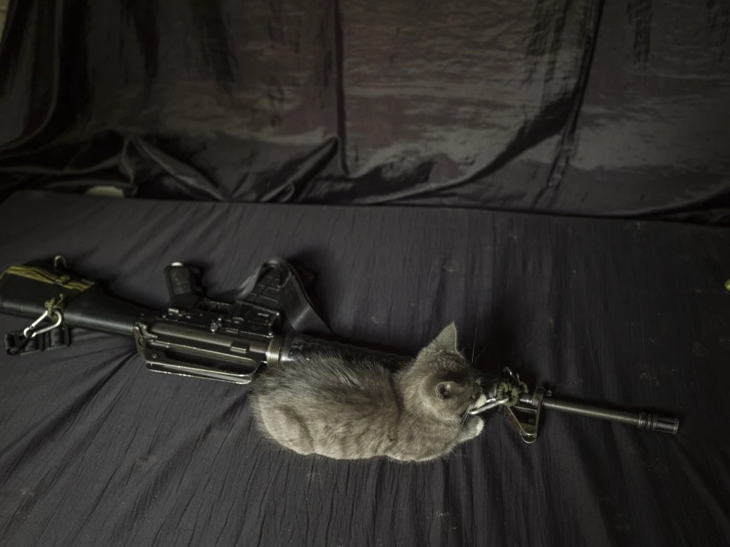 COLOMBIA. 2017.  A guerilla's kitten sleeps beside her gun. Prior to the peace agreement, keeping pets was forbidden.