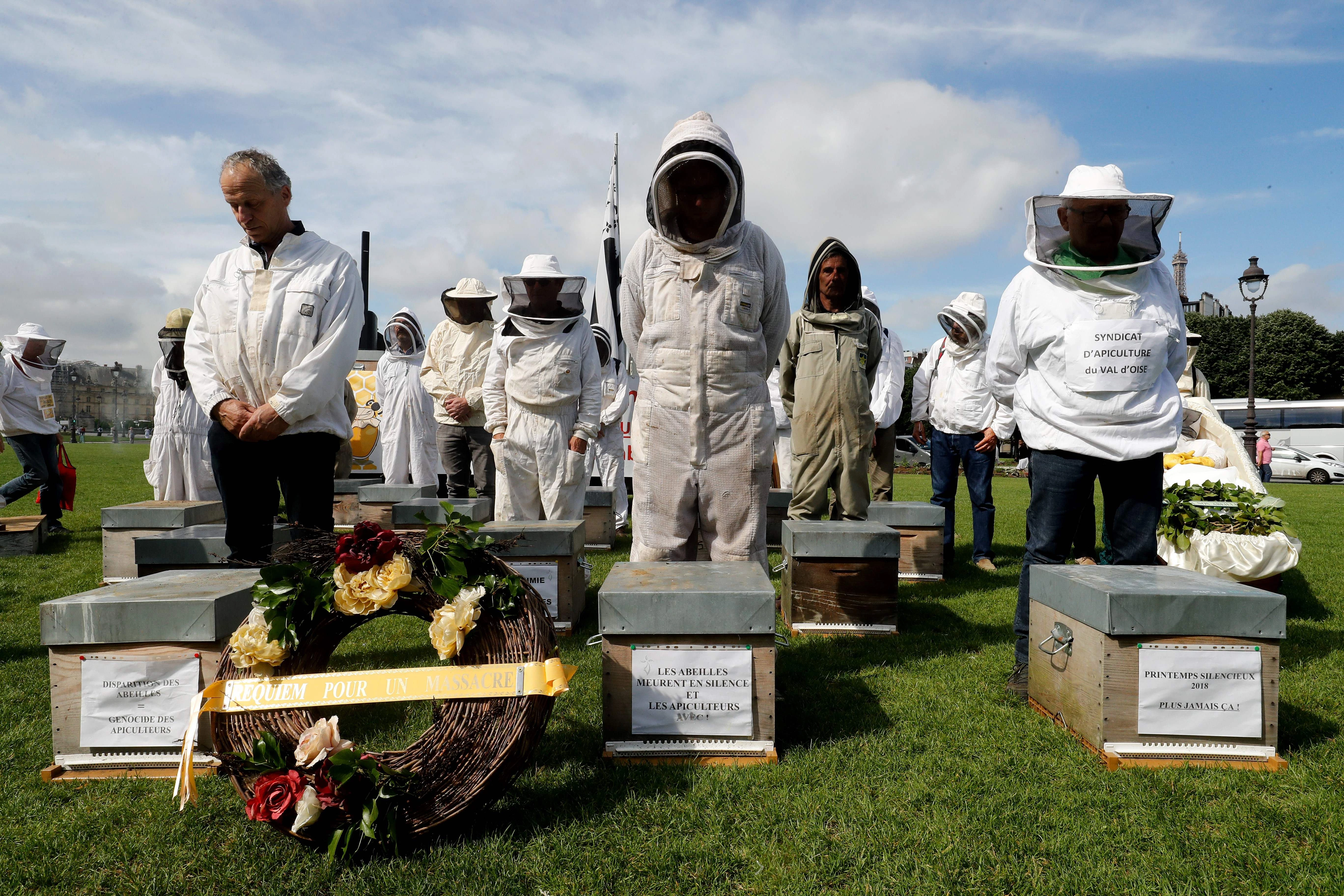 Apicultores participam de uma manifestação na Esplanade des Invalides, em Paris, em 7 de junho de 2018, durante um dia nacional de ação dos apicultores franceses.