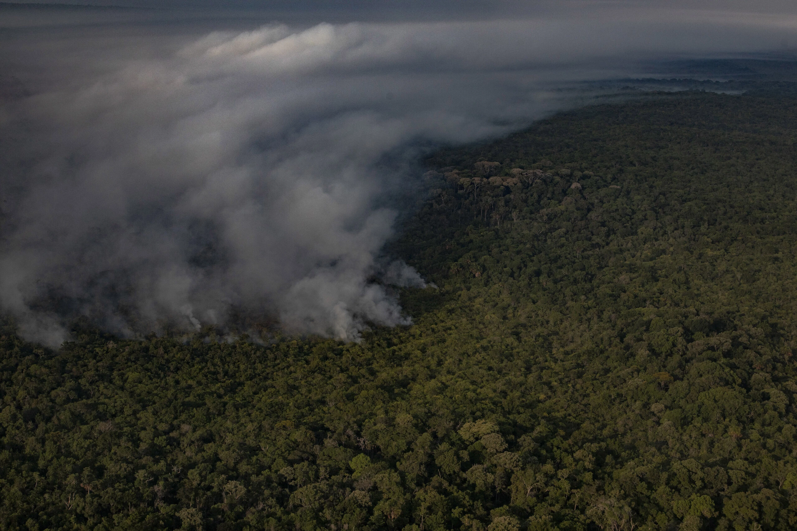 An aerial view of a burned forest area next to a cattle ranch in the state of Pará in Altamira, Brazil, Aug. 31, 2019. 