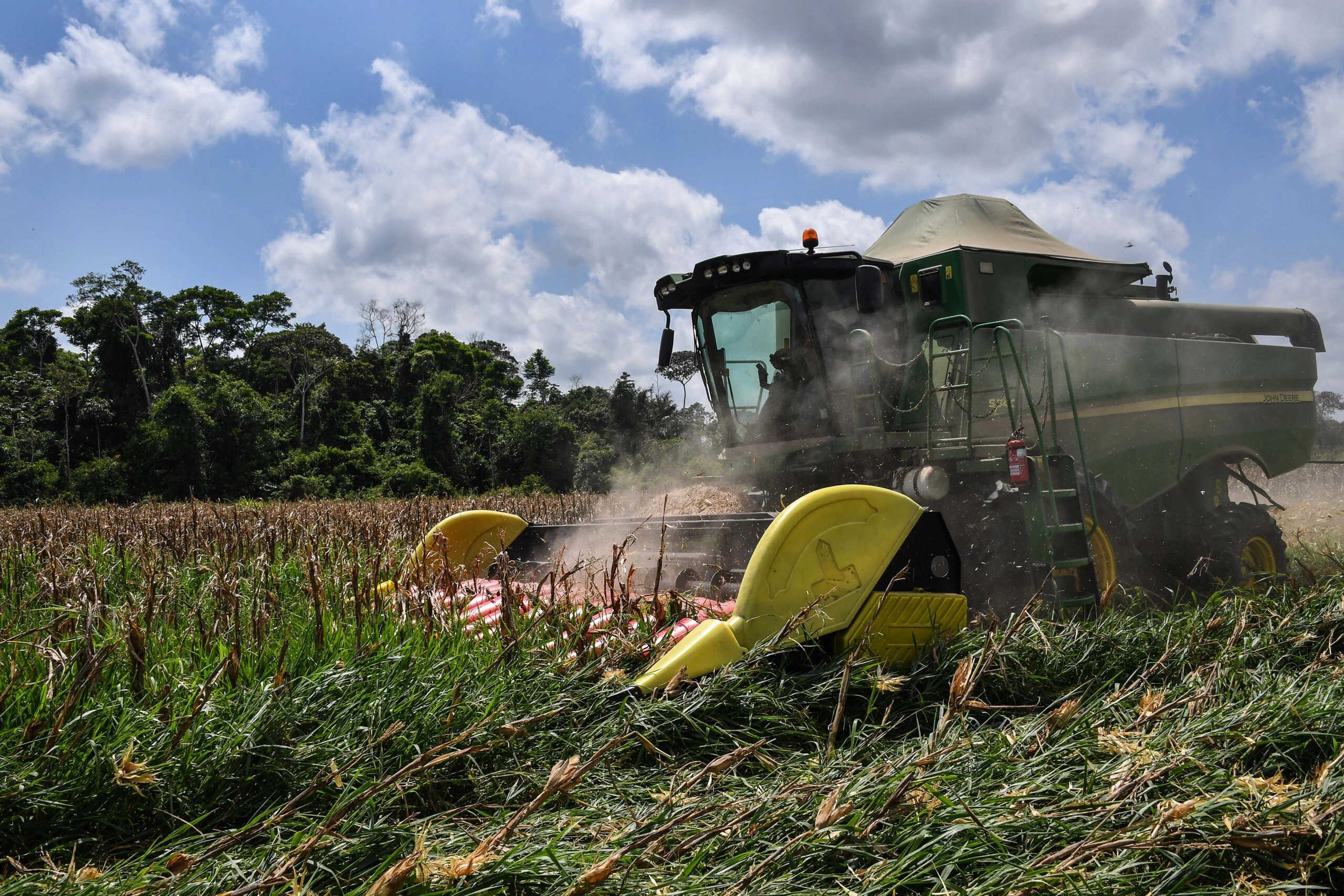 A harvester works on a corn field at Brazilian cattlebreeder Luiz Medeiros dos Santos' farm in Ruropolis, Para state, Brazil, in the Amazon rainforest, on September 5, 2019. - Cattle breeders, indigenous teachers and loggers are among more than 20 million people living in the Amazon in northern Brazil, carving out a living from the world's largest rainforest (Photo by NELSON ALMEIDA / AFP) (Photo by NELSON ALMEIDA/AFP via Getty Images)