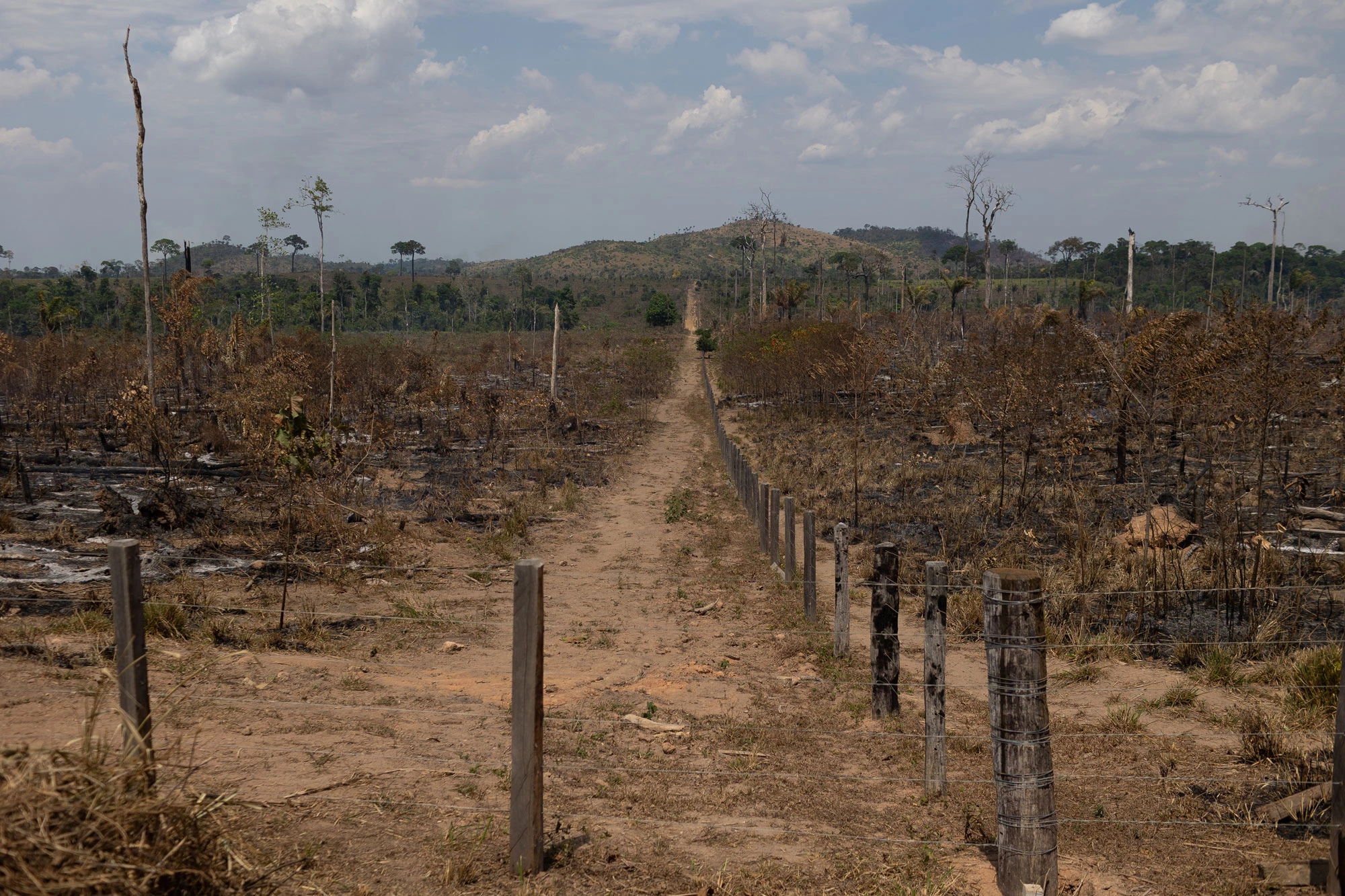 Área desmatada, queimada e loteada próxima a Novo Progresso.