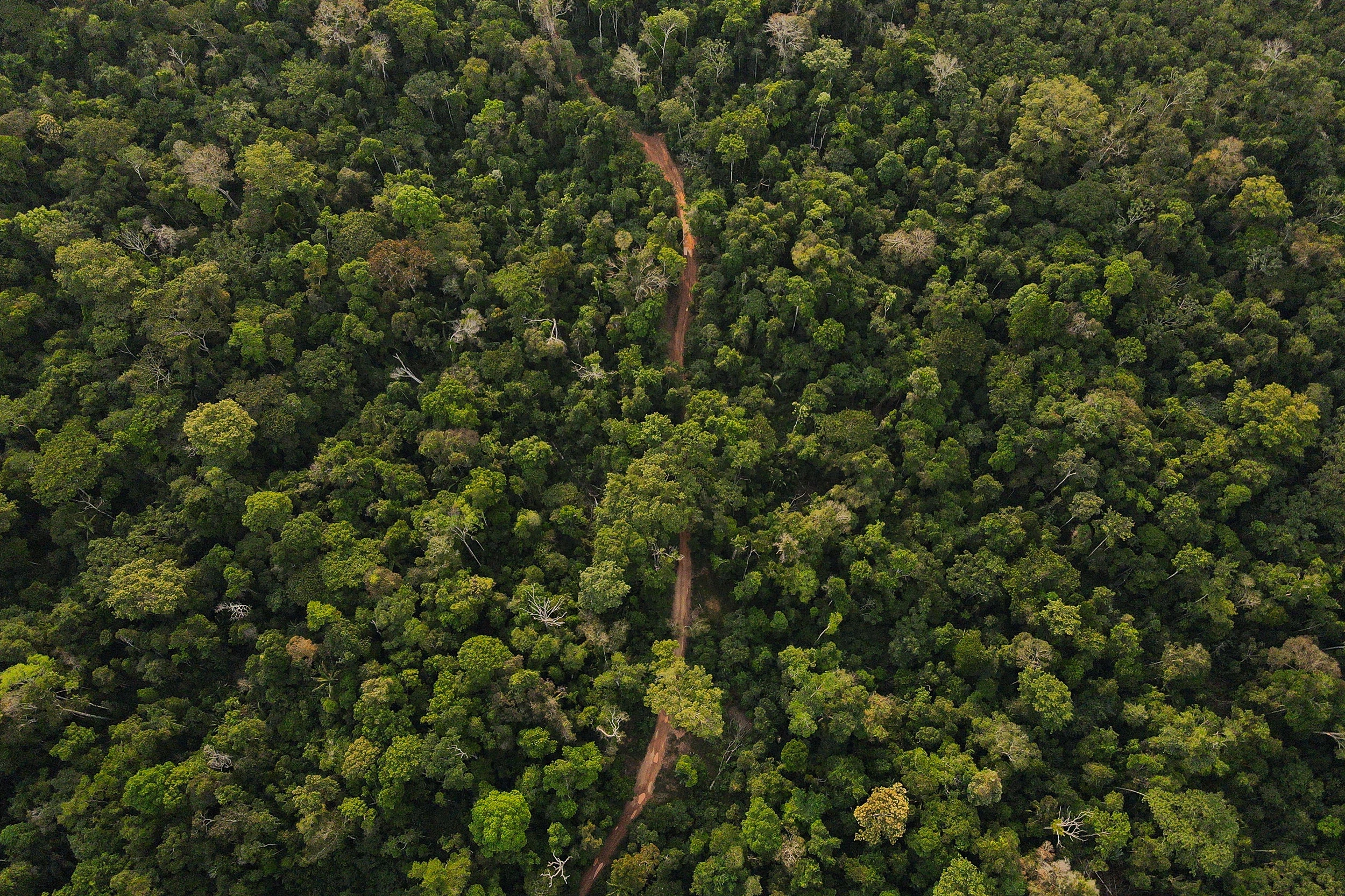 Vista aerea de estradas de retirada ilegal de madeira  nas proximidades da Aldeia Buriti na Terra Indigena Kaxarari, localizada proximo ao distrito de Vista Alegre do Abunã, dritrito de Porto Velho, Rondonia. 09 de agosto de 2022. Foto: Bruno Kelly
