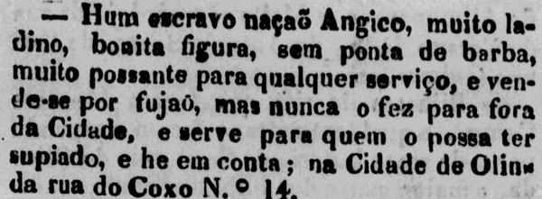 Anúncio publicado no Diário de Pernambuco em 1830, em que anuncia: “vende-se por [ser] fujão”. O termo “ladino” significava que, apesar de o escravo ser africano, ele já dominava o idioma e os costumes locais.