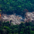 Paranoia com invasões, indígenas, quilombolas e ambientalistas alimenta proposta para ocupar uma das partes mais preservadas da Amazônia no Pará. Na foto, o desmatamento na terra indígena Menkragnoti, em  Altamira, em agosto passado.