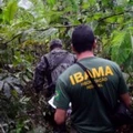 Fiscalização de desmatamento na Floresta Nacional do Jamanxim em Novo Progresso, Pará.