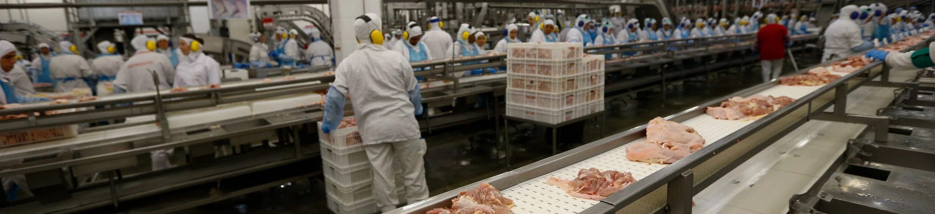 ***FOTO DE ARQUIVO*** LAPA, PR,  BRASIL, 21.03.2017 - Vista geral interna do Frigorífico SIF 530, da Seara, do grupo JBS. (Foto: Pedro Ladeira/Folhapress) ***FOTO DE ARQUIVO*** LAPA, PR,  BRASIL, 21.03.2017 - Vista geral interna do Frigorífico SIF 530, da Seara, do grupo JBS. (Foto: Pedro Ladeira/Folhapress)