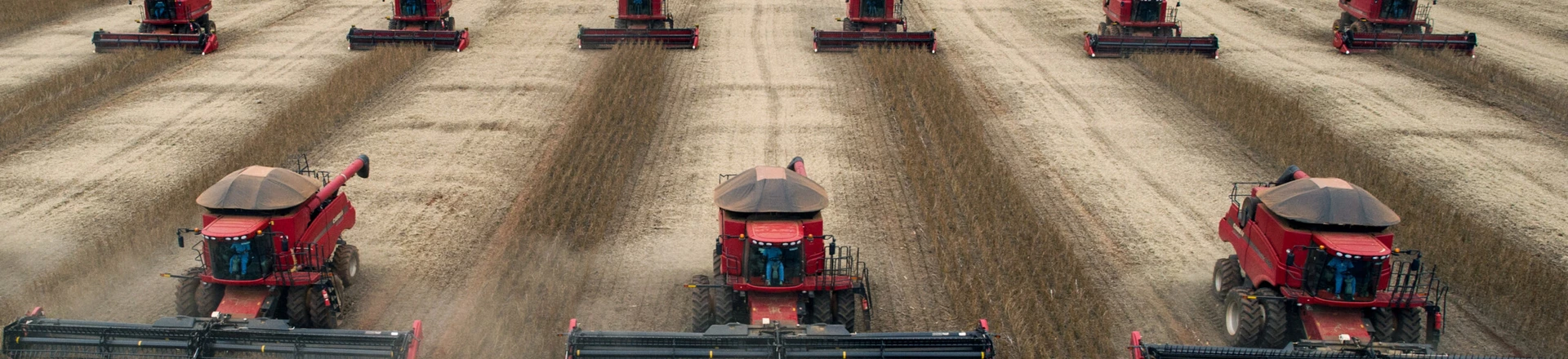 Combine harvesters crop soybeans during a demonstration for the press, in Campo Novo do Parecis, about 400km northwest from the capital city of Cuiaba, in Mato Grosso, Brazil, on March 27, 2012. AFP PHOTO/Yasuyoshi CHIBA (Photo credit should read YASUYOSHI CHIBA/AFP/Getty Images) Combine harvesters crop soybeans during a demonstration for the press, in Campo Novo do Parecis, about 400km northwest from the capital city of Cuiaba, in Mato Grosso, Brazil, on March 27, 2012. AFP PHOTO/Yasuyoshi CHIBA (Photo credit should read YASUYOSHI CHIBA/AFP/Getty Images)