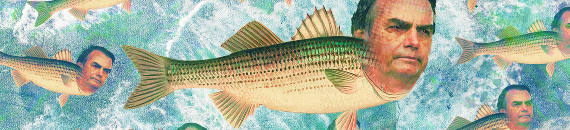 Governo faz tanta força para livrar Bolsonaro de crime ambiental que pode dar presente inesperado à Petrobras Governo faz tanta força para livrar Bolsonaro de crime ambiental que pode dar presente inesperado à Petrobras