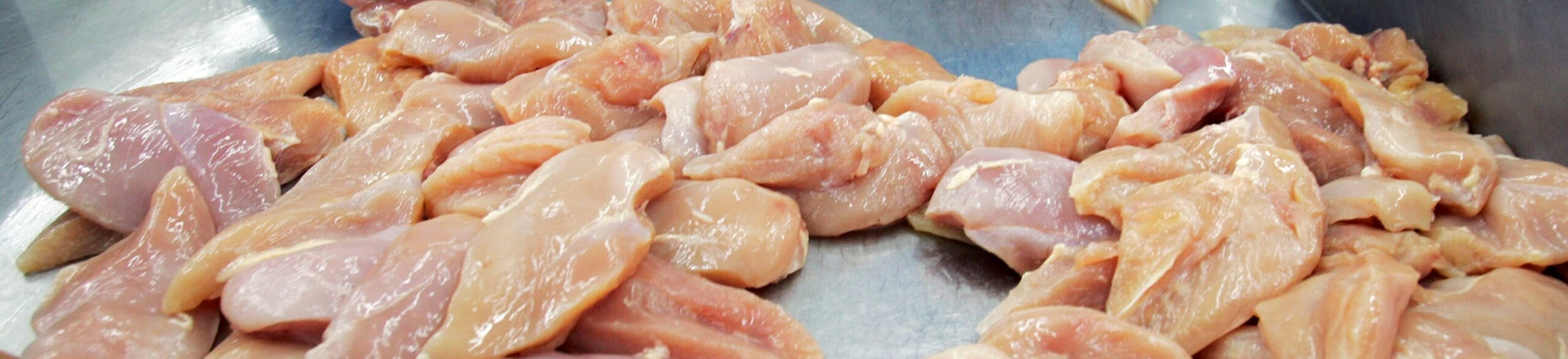 CHONBURI, THAILAND - JULY 9:  Chicken breasts get sorted at the Thai Poultry Group (TPG) chicken processing and slaughtering factory July 9, 2005 in Chonburi, Thailand. The factory has 1,200 employees that are able to deal with 10,000 birds per hour at full capacity. However since Bird Flu outbreak, the processing plant has had to cut its production almost 40%. The Thai Poultry Group exports to European Union, Japan, Middle East, Hong Kong and South Korea.  (Photo by Paula Bronstein/Getty Images) CHONBURI, THAILAND - JULY 9:  Chicken breasts get sorted at the Thai Poultry Group (TPG) chicken processing and slaughtering factory July 9, 2005 in Chonburi, Thailand. The factory has 1,200 employees that are able to deal with 10,000 birds per hour at full capacity. However since Bird Flu outbreak, the processing plant has had to cut its production almost 40%. The Thai Poultry Group exports to European Union, Japan, Middle East, Hong Kong and South Korea.  (Photo by Paula Bronstein/Getty Images)