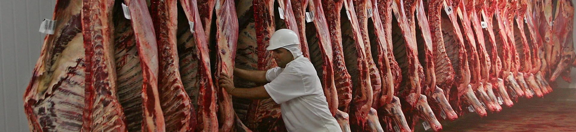 BARRETOS, SP, BRASIL, 25-11-2008: Funcionários trabalham na linha de produção do frigorífico Minerva, em Barretos, interior de São Paulo. (Foto: Edson Silva/Folhapress, Folha Ribeirao) BARRETOS, SP, BRASIL, 25-11-2008: Funcionários trabalham na linha de produção do frigorífico Minerva, em Barretos, interior de São Paulo. (Foto: Edson Silva/Folhapress, Folha Ribeirao)