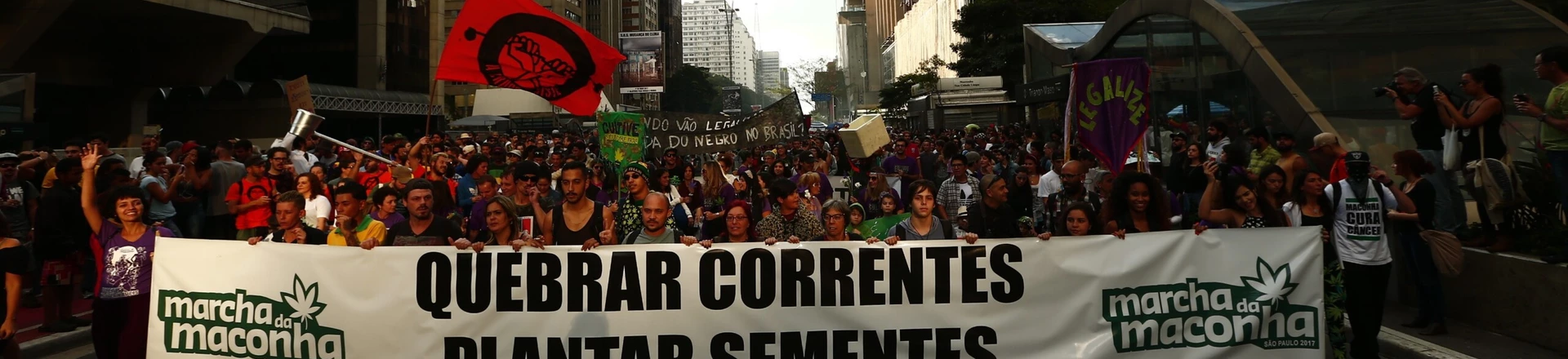 SÃO PAULO, SP, 06.05.2017: MARCHA-MACONHA - Manifestantes participam da Marcha da Maconha na tarde deste sábado, 6, na avenida Paulista, em São Paulo, pela legalização do entorpecente para uso medicinal e recreativo. Uma multidão desce a avenida Brigadeiro Luis Antônio, com destino à praça da Sé, no centro da cidade. (Foto: Adriano Vizoni/Folhapress) SÃO PAULO, SP, 06.05.2017: MARCHA-MACONHA - Manifestantes participam da Marcha da Maconha na tarde deste sábado, 6, na avenida Paulista, em São Paulo, pela legalização do entorpecente para uso medicinal e recreativo. Uma multidão desce a avenida Brigadeiro Luis Antônio, com destino à praça da Sé, no centro da cidade. (Foto: Adriano Vizoni/Folhapress)