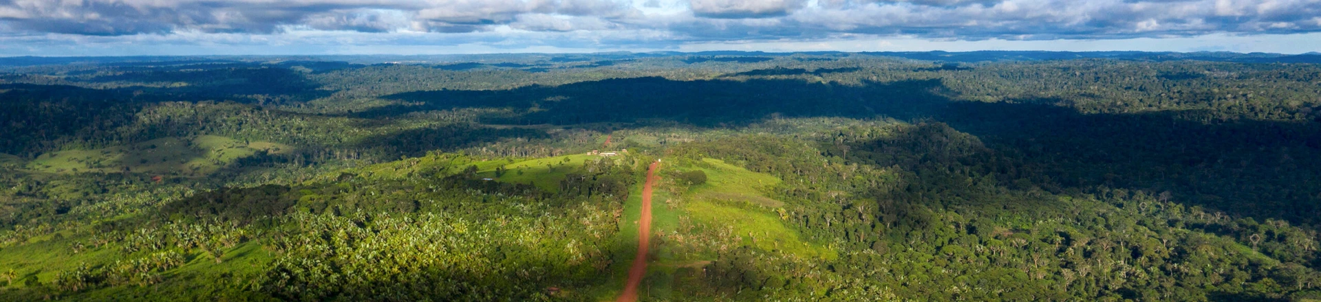 Vista aérea da rodovia Transamazônica perto de Medicilândia, no Pará, em 13 de março de 2019.