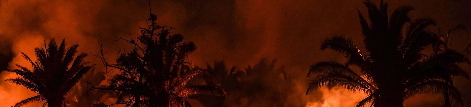 Incêndio florestal às margens da BR-163 em Itaituba, no Pará, em setembro de 2019. Incêndio florestal às margens da BR-163 em Itaituba, no Pará, em setembro de 2019.