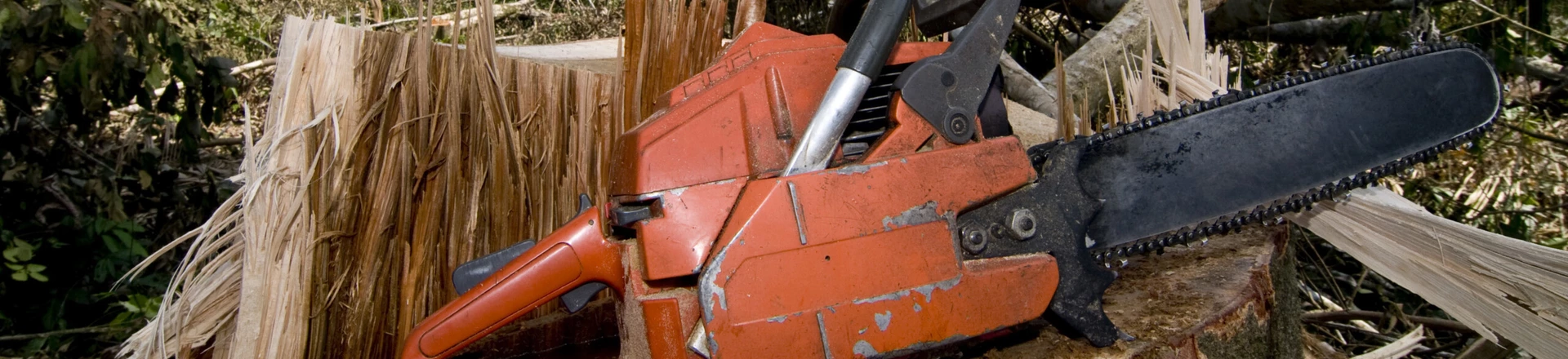 Documento emitido por ex-PM nomeado pelo ministro do Meio Ambiente para comandar o Ibama no Pará beneficia empresa que exportou sem licença cinco contêineres de madeira. Documento emitido por ex-PM nomeado pelo ministro do Meio Ambiente para comandar o Ibama no Pará beneficia empresa que exportou sem licença cinco contêineres de madeira.