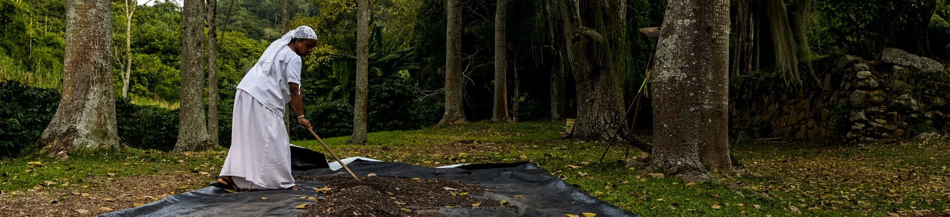 Turistas podem ser escravocratas por um dia em fazenda “sem racismo” Turistas podem ser escravocratas por um dia em fazenda “sem racismo”