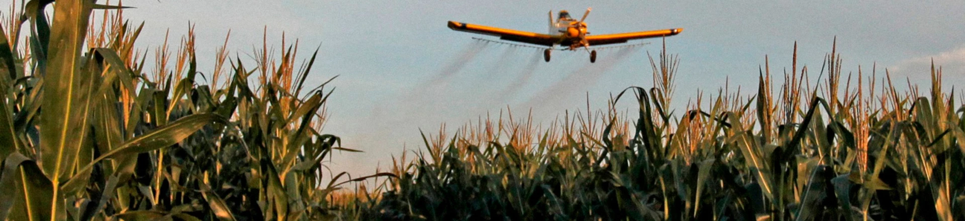 Agrônomos do Paraná estão sendo investigados por receitar agrotóxicos num ritmo sobrehumano Agrônomos do Paraná estão sendo investigados por receitar agrotóxicos num ritmo sobrehumano