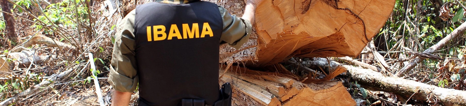 Ibama contraria técnicos e entrega chefia estratégica a funcionário da Abin Ibama contraria técnicos e entrega chefia estratégica a funcionário da Abin