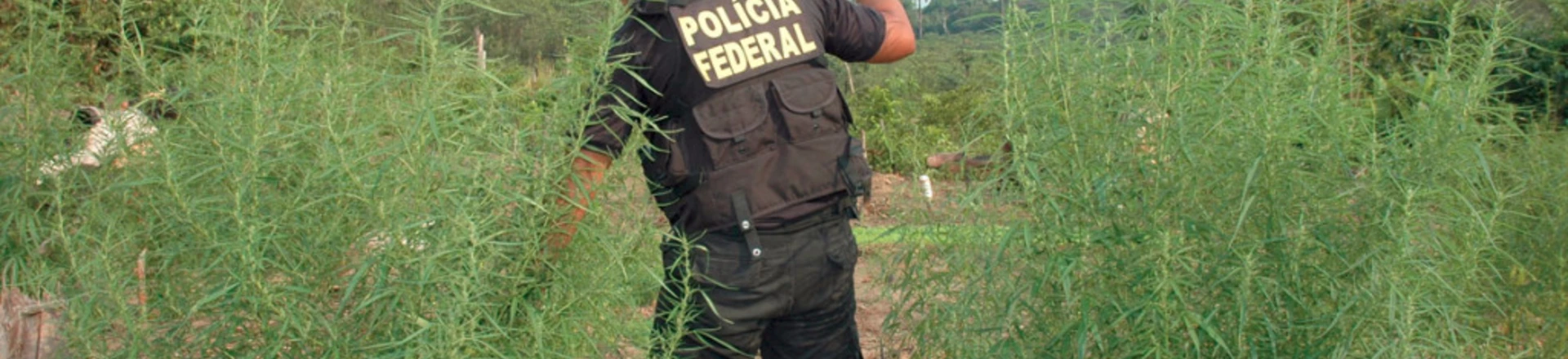 Mesmo tendo modelos bem sucedidos no país, Brasil busca fora políticas ultrapassadas sobre crack Mesmo tendo modelos bem sucedidos no país, Brasil busca fora políticas ultrapassadas sobre crack