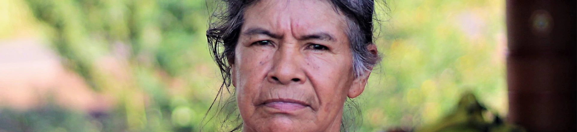 A luta de uma Guarani Kaiowá: 'Fui expulsa da minha terra seis vezes e perdi marido, filhos e neto' A luta de uma Guarani Kaiowá: 'Fui expulsa da minha terra seis vezes e perdi marido, filhos e neto'