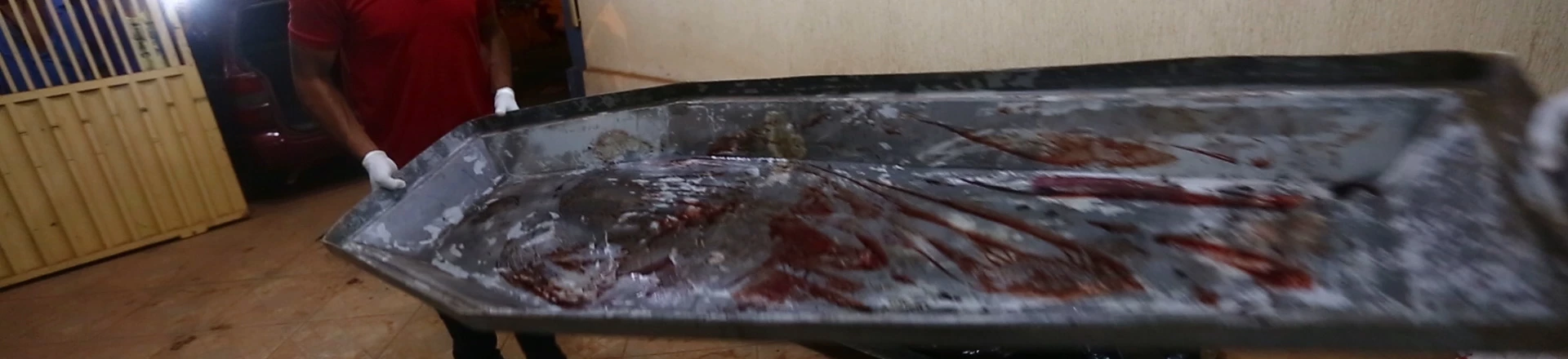 Massacre de Pau D´Arco, no Pará. Foram 10 mortos. Massacre de Pau D´Arco, no Pará. Foram 10 mortos.