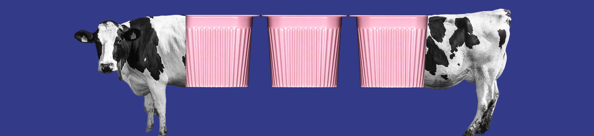 Vídeos e áudios exclusivos de uma fazenda fornecedora da Danone mostram maus-tratos rotineiros contra vacas e bezerros. Vídeos e áudios exclusivos de uma fazenda fornecedora da Danone mostram maus-tratos rotineiros contra vacas e bezerros.