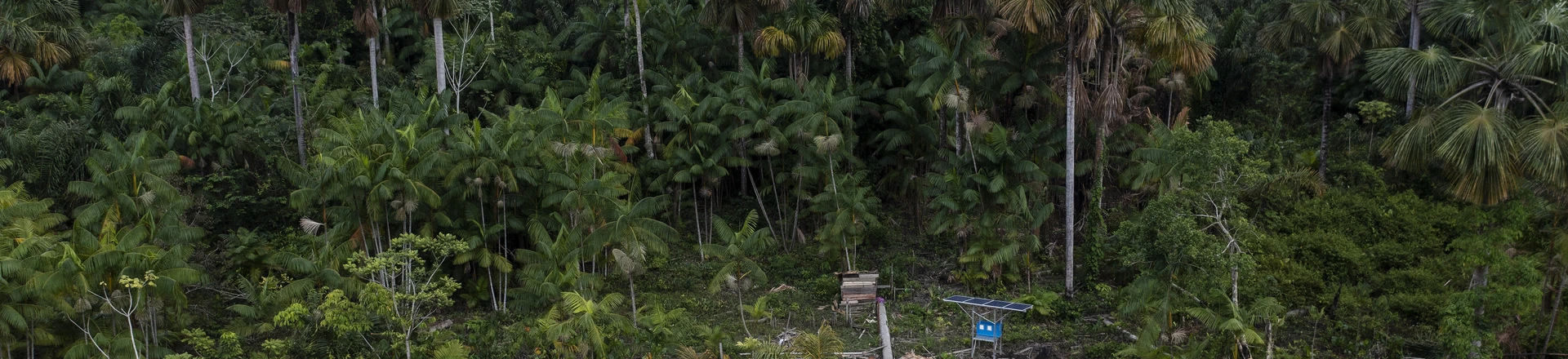 Um vídeo da cantora gospel Aymeê Rocha denunciando a exploração sexual de crianças no Marajó deu início a um mar de informações falsas e descontextualizadas. Um vídeo da cantora gospel Aymeê Rocha denunciando a exploração sexual de crianças no Marajó deu início a um mar de informações falsas e descontextualizadas.