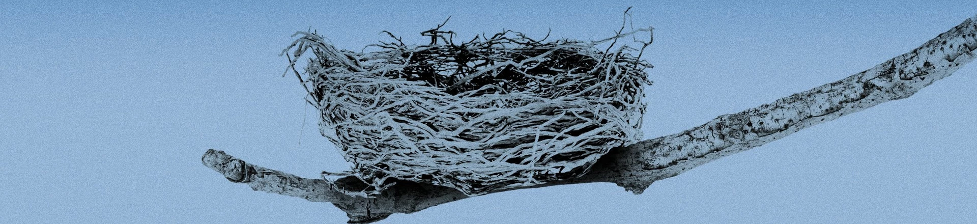 Ilustração: Denise Matsumoto/O Joio e o Trigo Ilustração: Denise Matsumoto/O Joio e o Trigo