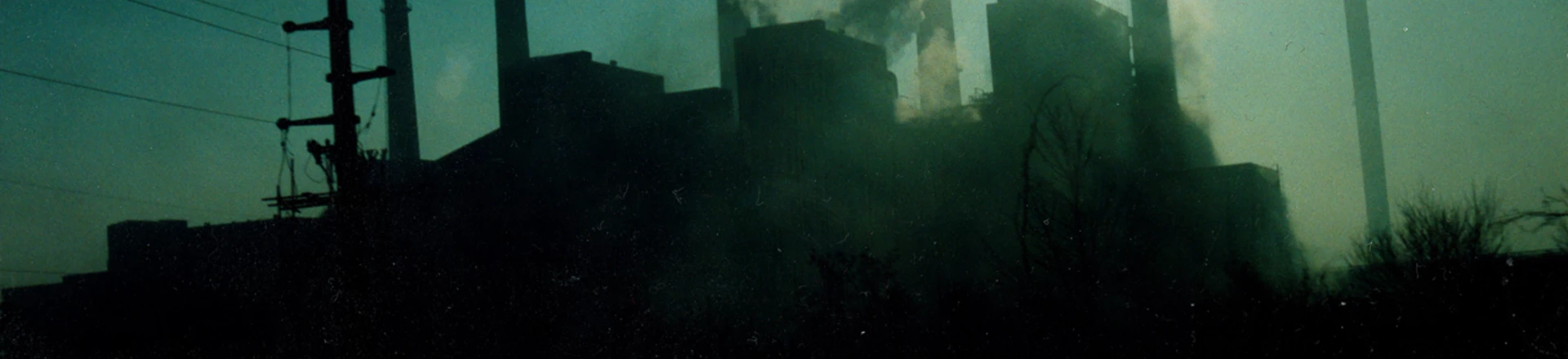 Usando táticas de Steve Bannon, grandes empresas cooptam nutricionistas e movimento anti-dieta e encorajam niilismo para maximizar os lucros. Usando táticas de Steve Bannon, grandes empresas cooptam nutricionistas e movimento anti-dieta e encorajam niilismo para maximizar os lucros.