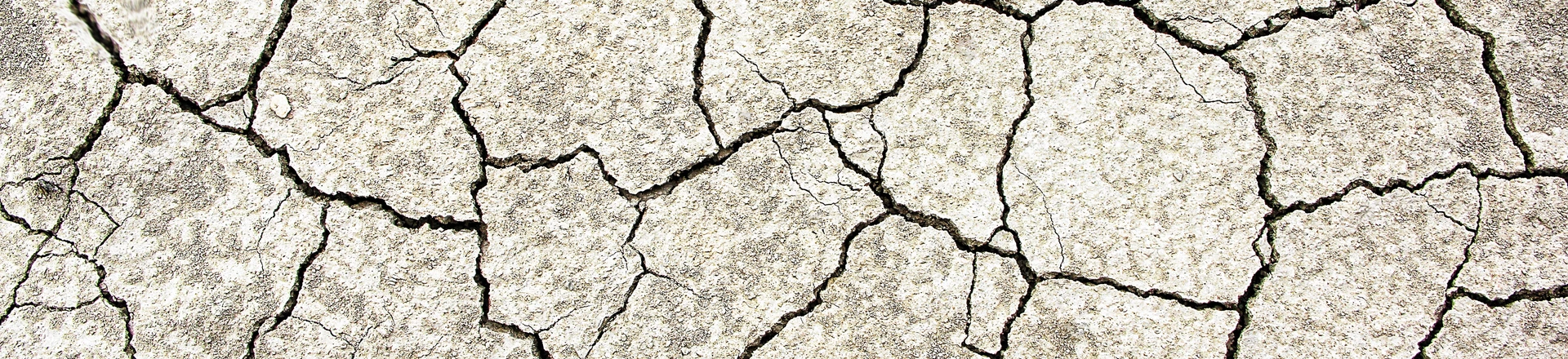 Longe de ser um bloco monolítico, a direita americana é cheia de fissuras. Longe de ser um bloco monolítico, a direita americana é cheia de fissuras.