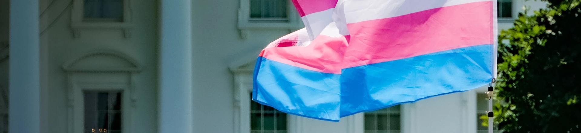 Pessoas trans protestam diante da Casa Branca durante o primeiro governo Trump. Pessoas trans protestam diante da Casa Branca durante o primeiro governo Trump.