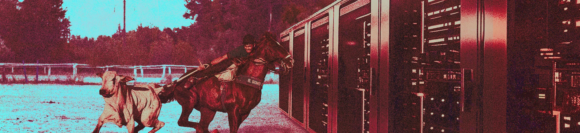 Falta de regras faz data center do TikTok no Ceará ter licença ambiental igual a parque de vaquejada Falta de regras faz data center do TikTok no Ceará ter licença ambiental igual a parque de vaquejada