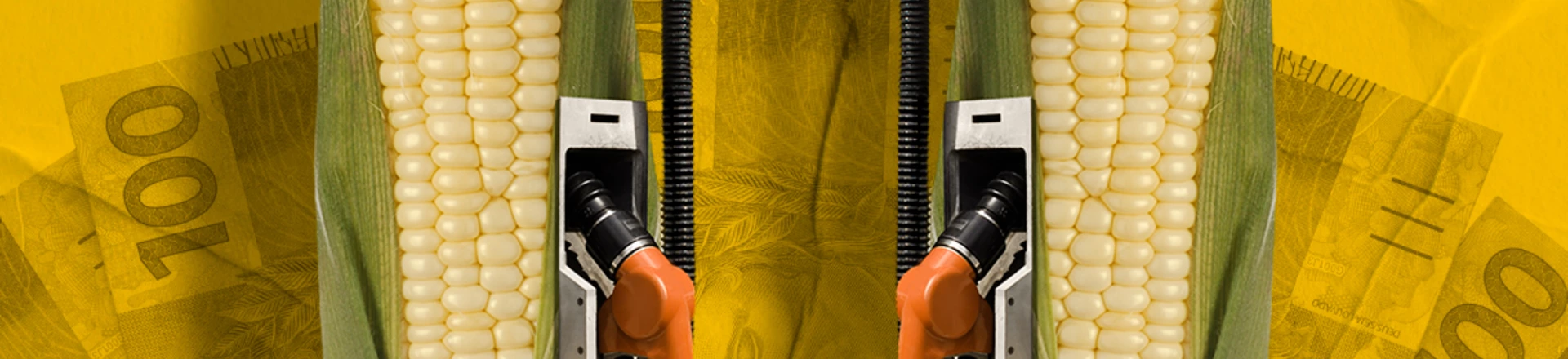 Agro conseguiu R$ 2,5 bilhões do Fundo Clima para financiar empresas com infrações ambientais Agro conseguiu R$ 2,5 bilhões do Fundo Clima para financiar empresas com infrações ambientais