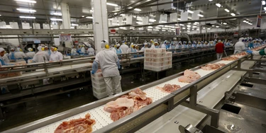 ***FOTO DE ARQUIVO*** LAPA, PR,  BRASIL, 21.03.2017 - Vista geral interna do Frigorífico SIF 530, da Seara, do grupo JBS. (Foto: Pedro Ladeira/Folhapress) ***FOTO DE ARQUIVO*** LAPA, PR,  BRASIL, 21.03.2017 - Vista geral interna do Frigorífico SIF 530, da Seara, do grupo JBS. (Foto: Pedro Ladeira/Folhapress)