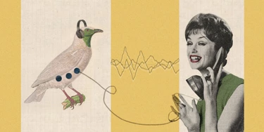 Abin teria mais poderes de espionagem com nova lei. Então por que seus agentes a rejeitam? Abin teria mais poderes de espionagem com nova lei. Então por que seus agentes a rejeitam?