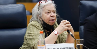 A presidente do Cremesp, Irene Abramovich.
