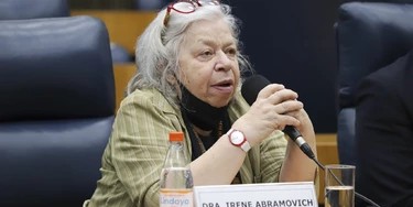 A presidente do Cremesp, Irene Abramovich. A presidente do Cremesp, Irene Abramovich.