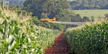 CAMPO MOURÃO, PR. 02.04.2016: Pulverização aérea de plantação de milho em Campo Mourão, região Centro-Oeste do Paraná. (foto: Dirceu Portugal/Folhapress)
