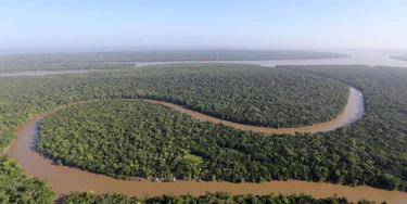 Dados divulgados nesta terça-feira (17) pelo Ministério do Meio Ambiente (MMA), apontam que o desmatamento na Floresta Amazônica (foto) apresentou uma estimativa de queda de 16% entre agosto de 2016 e julho deste ano. FOTO: SIDNEY OLIVEIRA /AG. PARÁDATA: 18.10.2017 Dados divulgados nesta terça-feira (17) pelo Ministério do Meio Ambiente (MMA), apontam que o desmatamento na Floresta Amazônica (foto) apresentou uma estimativa de queda de 16% entre agosto de 2016 e julho deste ano. FOTO: SIDNEY OLIVEIRA /AG. PARÁDATA: 18.10.2017