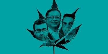 Cannabis Cannabis