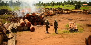 Militares do Exército durante Operação Verde Brasil, realizada em Rondônia.