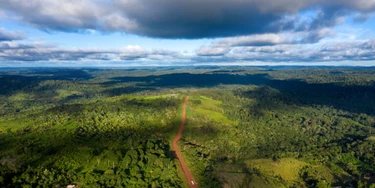 Vista aérea da rodovia Transamazônica perto de Medicilândia, no Pará, em 13 de março de 2019. Vista aérea da rodovia Transamazônica perto de Medicilândia, no Pará, em 13 de março de 2019.