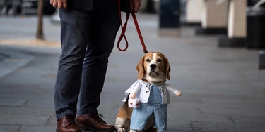 Um cachorro vestido de médico passeia do lado de fora de um hospital em Londres durante o #clapforourcares (aplausos para nossos cuidadores, em tradução livre). Um cachorro vestido de médico passeia do lado de fora de um hospital em Londres durante o #clapforourcares (aplausos para nossos cuidadores, em tradução livre).