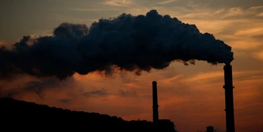 O novo livro de Bill McKibben, “Falter”, explora o fim da humanidade O novo livro de Bill McKibben, “Falter”, explora o fim da humanidade