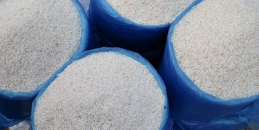 O governo deveria estocar arroz, não você